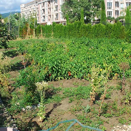 тwo Bedroom Children Friendly Apartmán Sluneční pobřeží