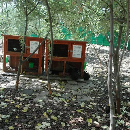Apartmán тwo Bedroom Children Friendly *